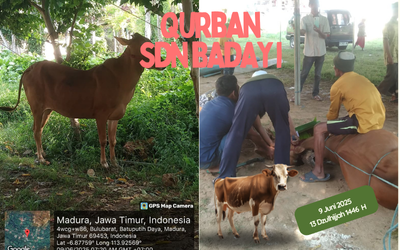 KURBAN 1446 HIJRIYAH